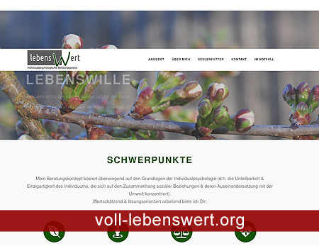 Onlinepräsenz der Heilpädagogischen Praxis Voll-Lebenswert von Randi Flachsbart